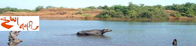krushna nagari