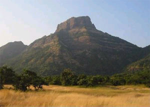 chanderi